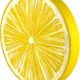 Rodaja limón grande XXL_25640_1