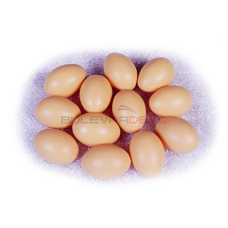 RÉPLICA HUEVOS MARRONES 12 PIEZAS 4,5x6,5cm, huevos de imitación, comida, ficticia de alimentos, fake food, alimentos de plástico, imitación de comida, imitación de alimentos, alimentos no perecederos