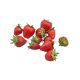 fresas, Replica de comida, ficticio de alimentos, fake food, alimentos de plástico
