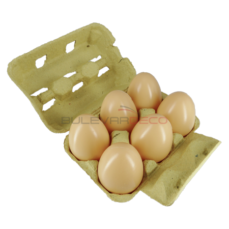 RÉPLICA HUEVOS MARRONES CAJA 6 PIEZAS 15X6 CM, HUEVOS DE imitación, comida, ficticia de alimentos, fake food, alimentos de plástico, imitación de comida, imitación de alimentos