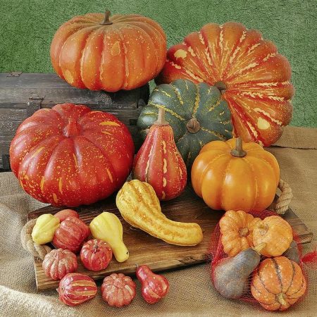 RÉPLICA CALABAZA AMERICANA Ø 30CM, réplica de comida, alimentos ficticios, réplica de alimentos, imitación alimentos, fake food, comida de imitación, sampuru