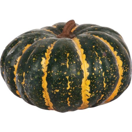 RÉPLICA CALABAZA AMERICANA VERDE Ø 23CM, réplica de comida, alimentos ficticios, réplica de alimentos, imitación alimentos, fake food, comida de imitación, sampuru