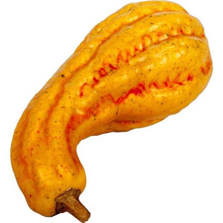 RÉPLICA CALABAZA ALARGADA AMARILLA Ø 9CM,réplica de comida, alimentos ficticios, réplica de alimentos, imitación alimentos, fake food, comida de imitación, sampuru