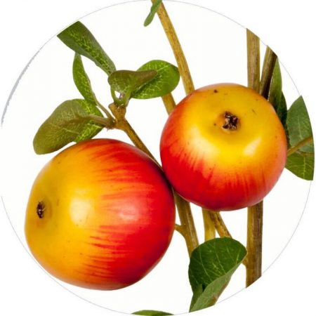 RAMA CON MANZANAS ROJAS/AMARILLAS, réplica de comida, alimentos ficticios, réplica de alimentos, imitación alimentos, fake food, comida de imitación, sampuru