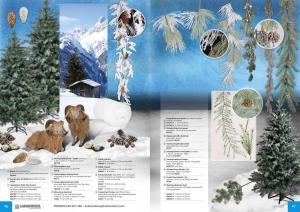 Decoración escaparates navidad catalogo 2018, escaparatismo en invierno, decoración escaparates de invierno, escaparates con osos, escaparates helados, decoración polar, decoración invernal, decoración con hielo